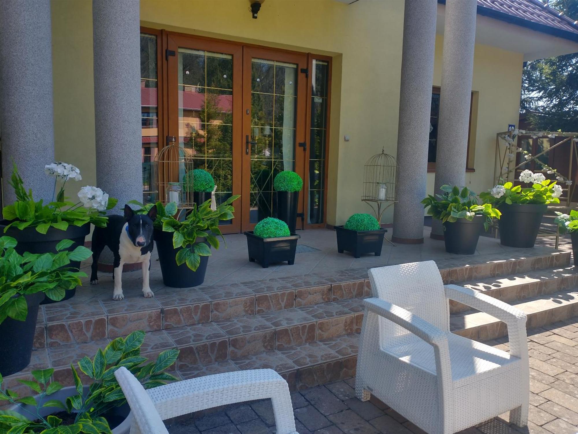 Korab Wiselka & Spa Hotel Exterior photo